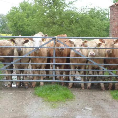 Host & - Great Habton * Malton