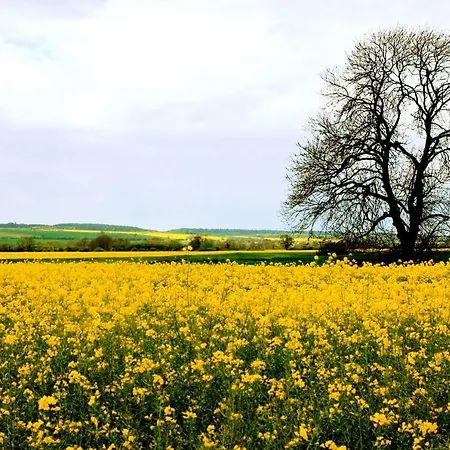 Nyaraló Host & - Great Habton Malton